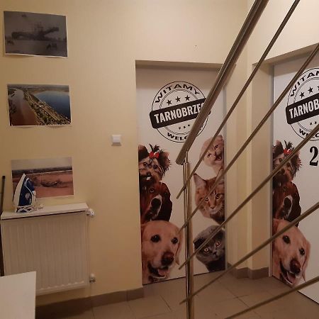 Noclegi Jeziorak Tarnobrzeg Exterior foto
